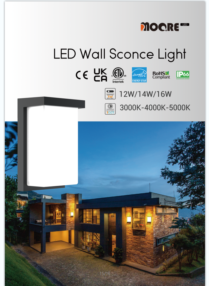 LED Wall Sconce Light