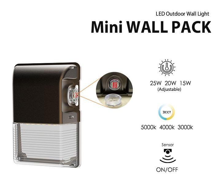 LED Mini Wall Pack Light