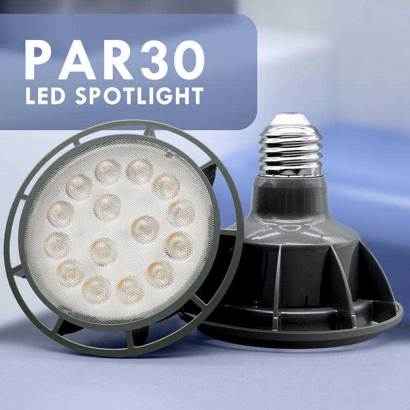 WOOJONG Better Quality Super Bright Uniform Light Par30 Indoor LED lighting