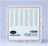 Orange border Flood Light