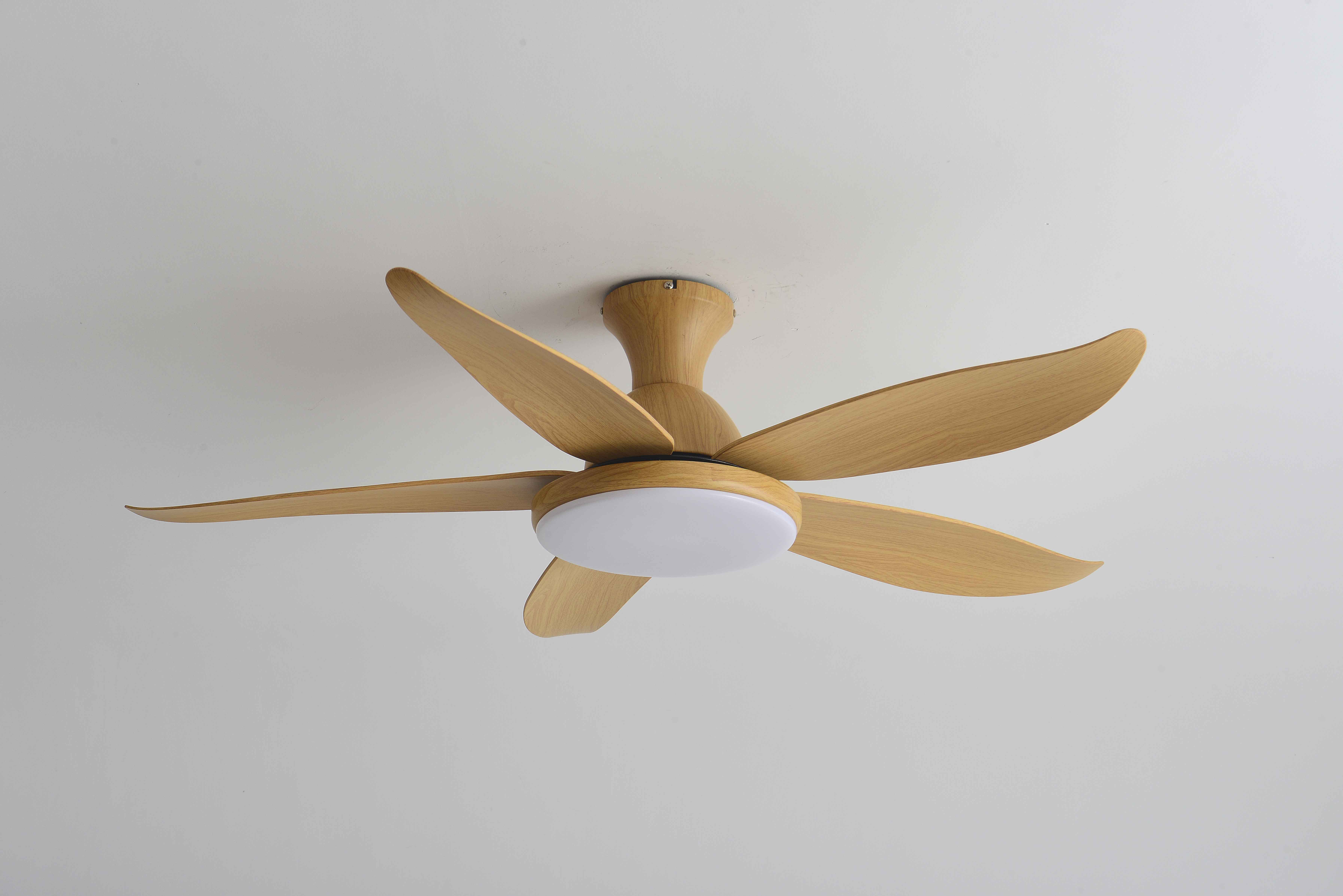 Decorative PlyWood Ceiling Fan 5 Wooden Blades