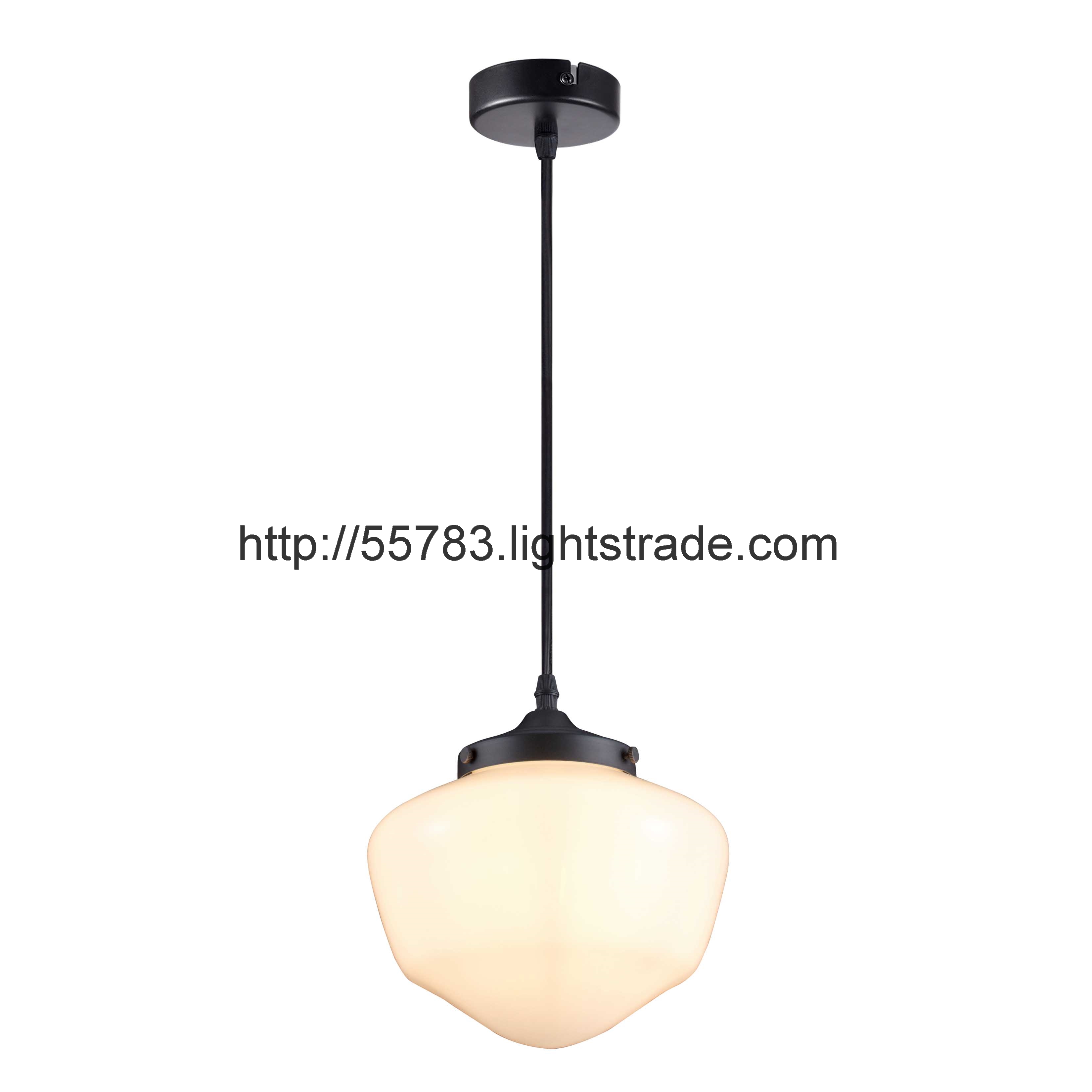E27 PENDANT LAMP HCE230208-01
