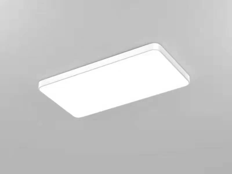 Ceiling light - rectangular