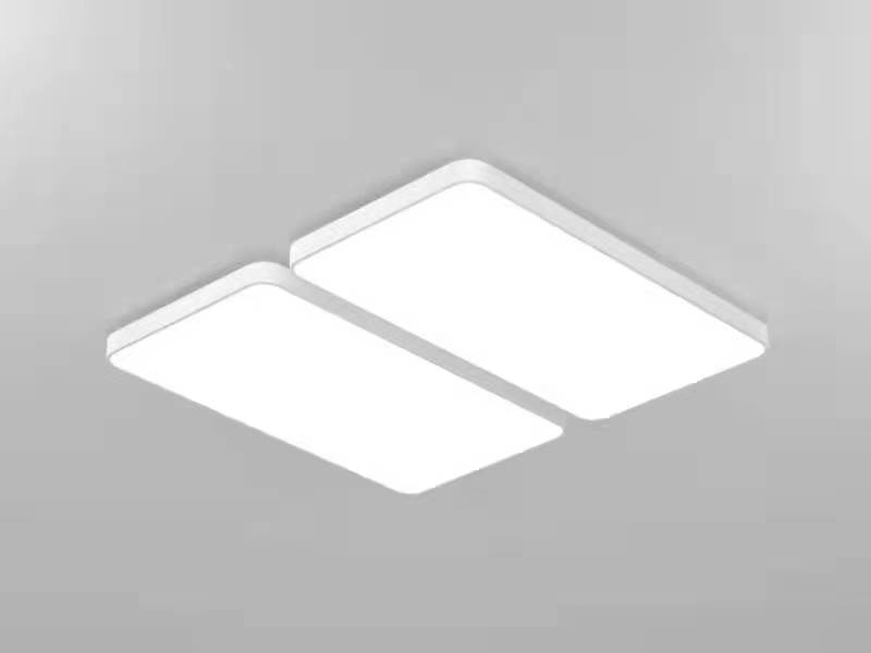 Combination ceiling light