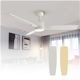 Ceiling Fans with Lights and Remote Control Quiet DC Motor Double-faced Blades Modern Design