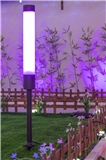 Intelligent pillar light