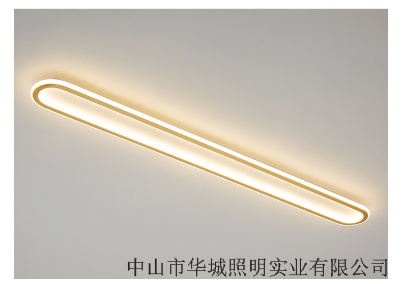 Long LED Ceiling Light L30 40 60 80 100 120 150CM