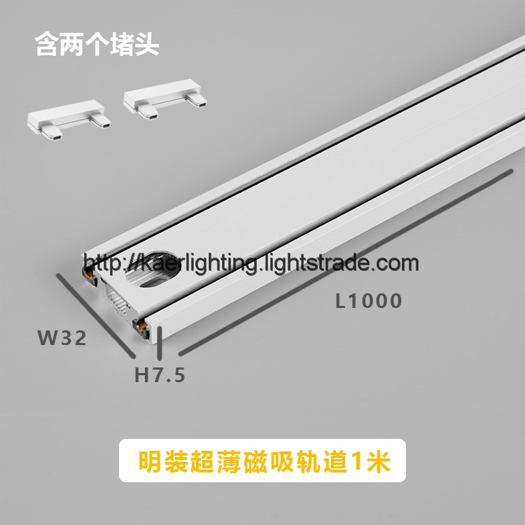 Ultra thin surface magnetic track Rail