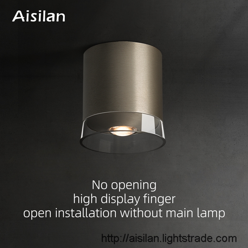 Aisilan brushed nickel ceiling COB lens surface mounted led downlight