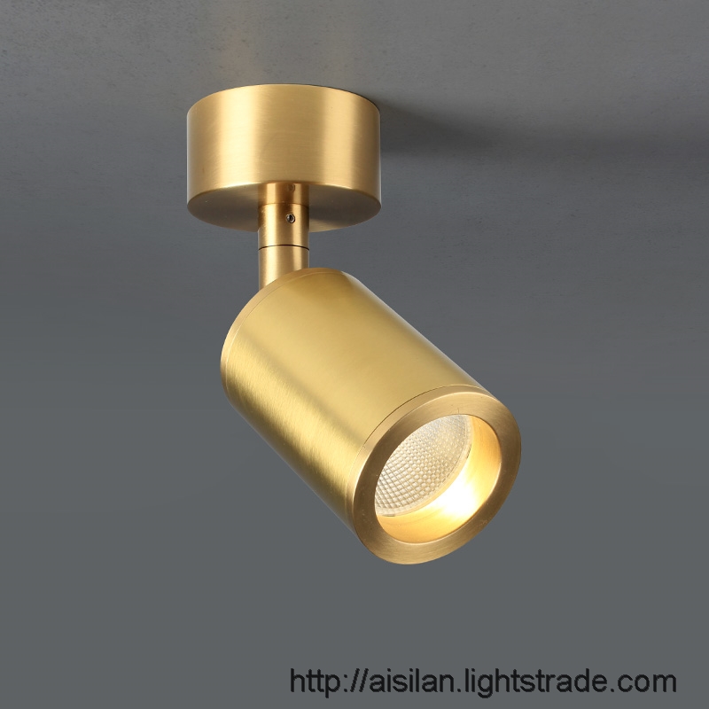 Aisilan adjustable brass ceiling COB surface mounted led downlight