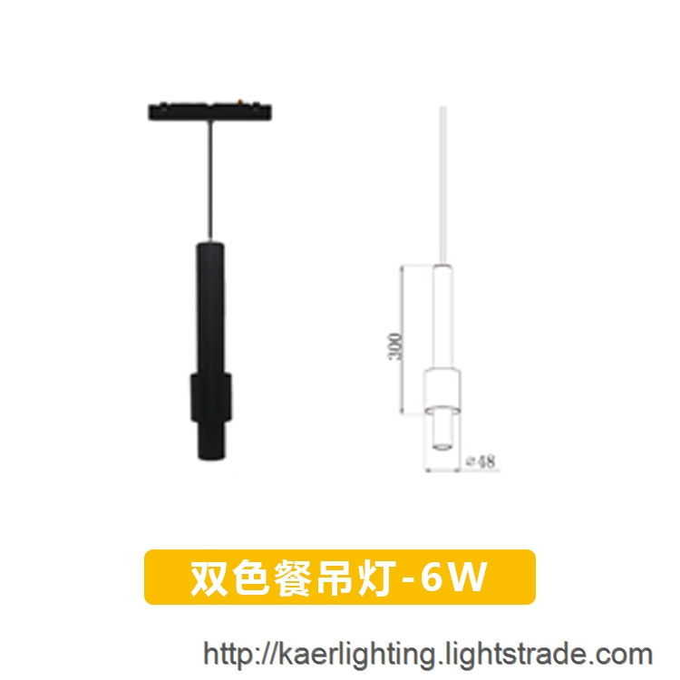 DC48V Magnetic Pendant Lamp