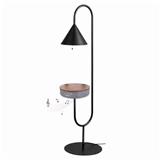 Floor Lamp UT-121522-142