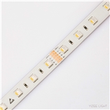 RGBW RGB Led Strip Lights SMD5050 24V 60 LEDs m LED Rope Light