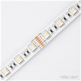 12mm RGB Led Strip SMD 5050 RGB CCT Adjustable Led Strip Light Multi Color
