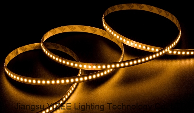 12mm 4610lm M High Efficiency LED Strip Tape High Luminous Led 34W M 256LEDs M