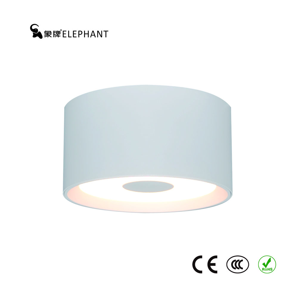 12W 15W LED Aluminum Alloy Indoor Ceiling Surface Mounted IP22 Downlight