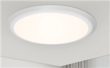 DCC LED Ceiling lamp DCL1203