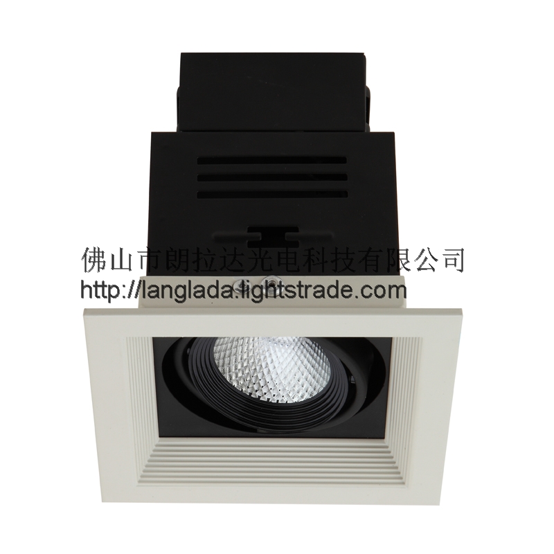 LED 2*7W Two Head Recessed Gille Light With Base Cover