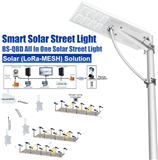 QBD-08P Series All-In-One Smart Solar Street Light Integrated Solar Street Light For IoT LoRa-MESH