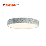 ARISING Jutta Ceiling light 80w