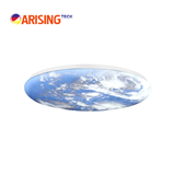 ARISING Eather Ceiling light Natural materials lamp