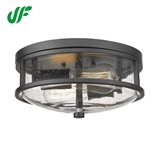 Round Flush Mount Ceiling Light Fixtures 12inch 2-Light Modern Black Aluminum Glass Ceiling Lamps