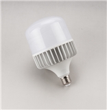 T bulb 100W