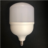 T bulb 60W