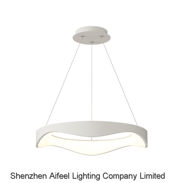 2024 NEW Pendant light Ceiling light Decorative lights Artistic LED lighting fixtures AC7008