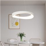 2024 NEW Pendant light Ceiling light Decorative lights Artistic LED lighting fixtures AC7007