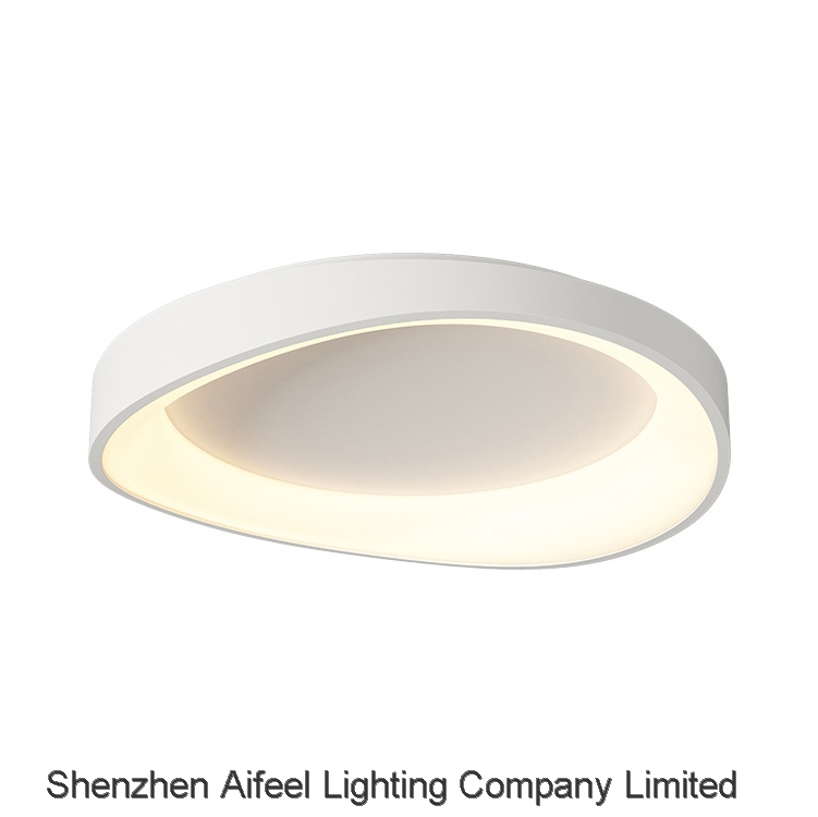 2024 NEW Ceiling light Pendant light Decorative lights Artistic LED lighting fixtures AC7007-C