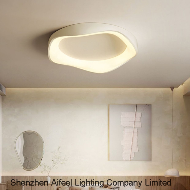 2024 NEW Ceiling light Pendant light Decorative lights Artistic LED lighting fixtures AC7008-C