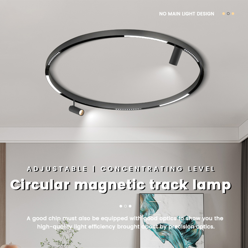 Round magnetic track light