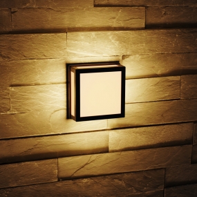 LED WALL LAMP-LED-BC-ALQ03