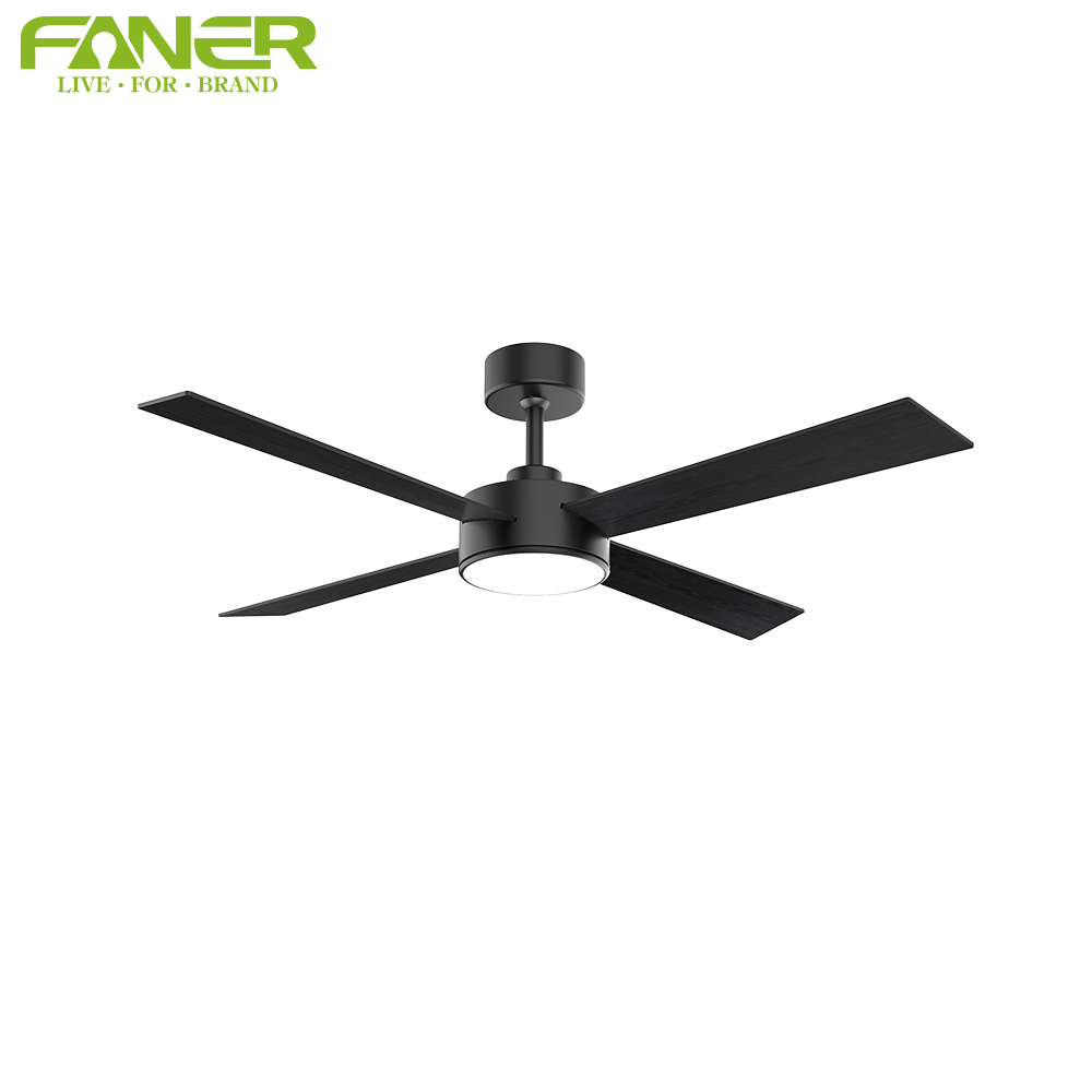 Black ceiling fan light