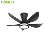 Black ceiling fan light