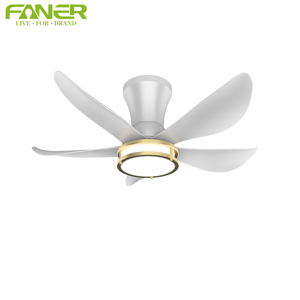 FS1007-5X-Ceiling fan with light