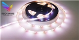 SMD5050 Strip RGBCW 90LED M