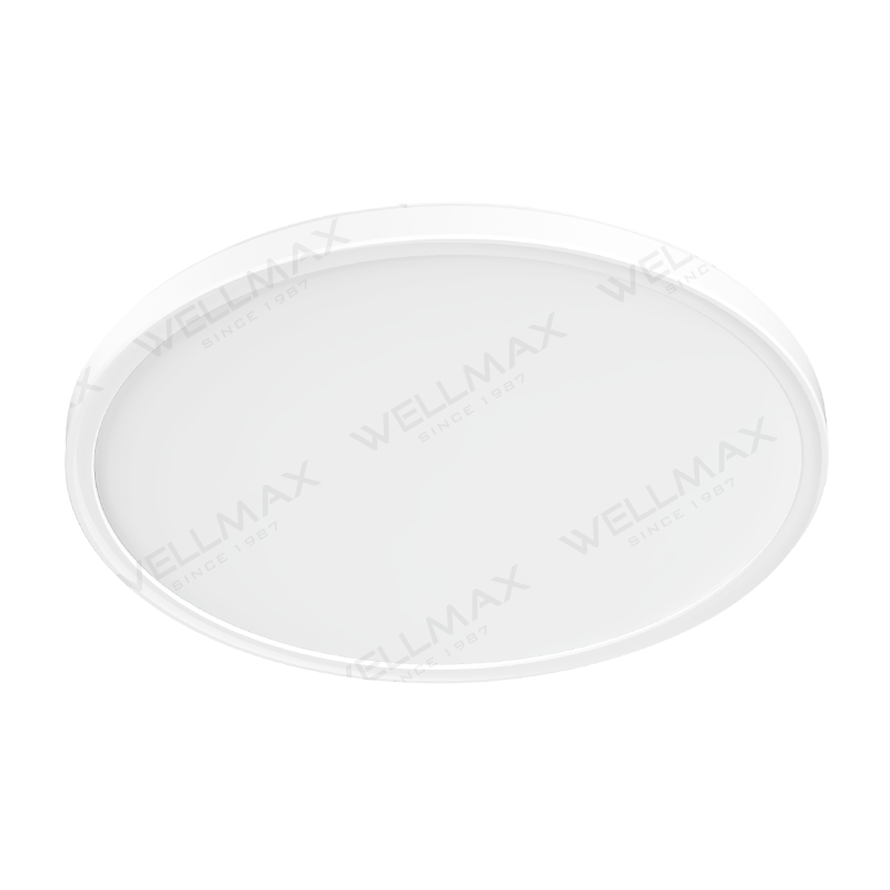 WELLMAX Halo Ceiling Light