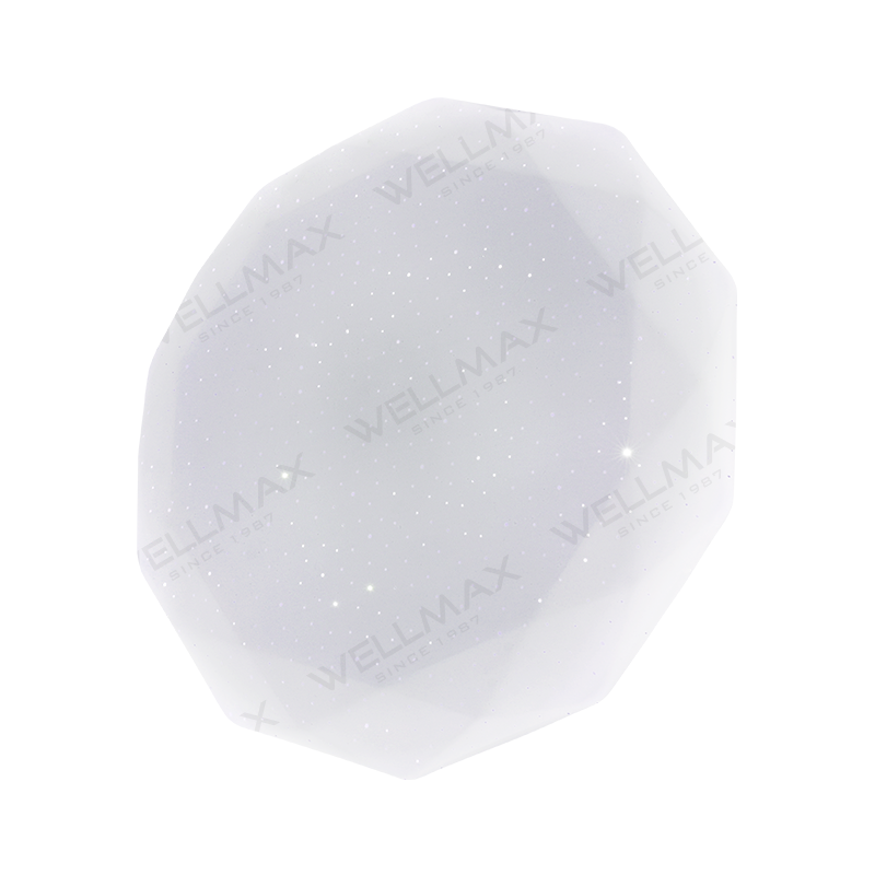 WELLMAX Stella Ceiling Light