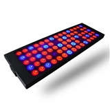 40W ultra-thin long plant growth light quantum plate fill light greenhouse succulent seedling plant