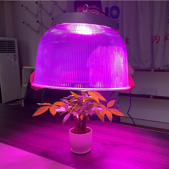 led plant growth light full spectrum high-power seedling light succulent vegetable greenhouse liftin