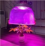 led plant growth light full spectrum high-power seedling light succulent vegetable greenhouse liftin