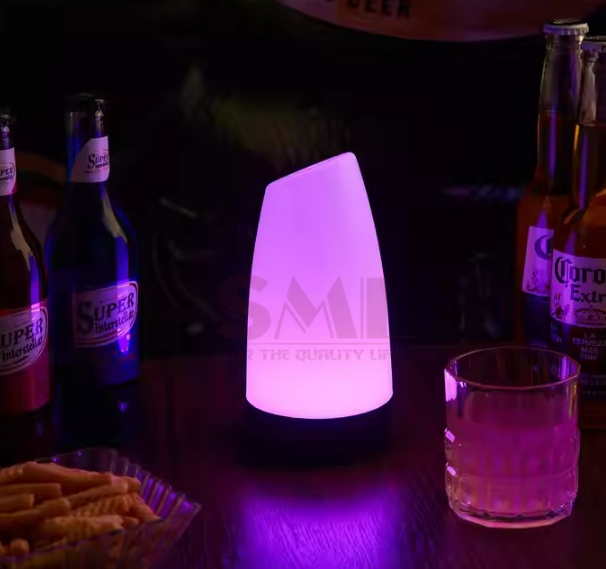 Portable Night Light Outdoor LED Table Lamp