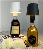 Portable Night Light Outdoor LED Table Lamp