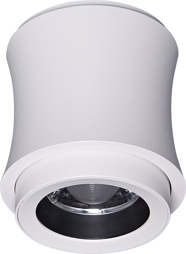 zoom LED down light