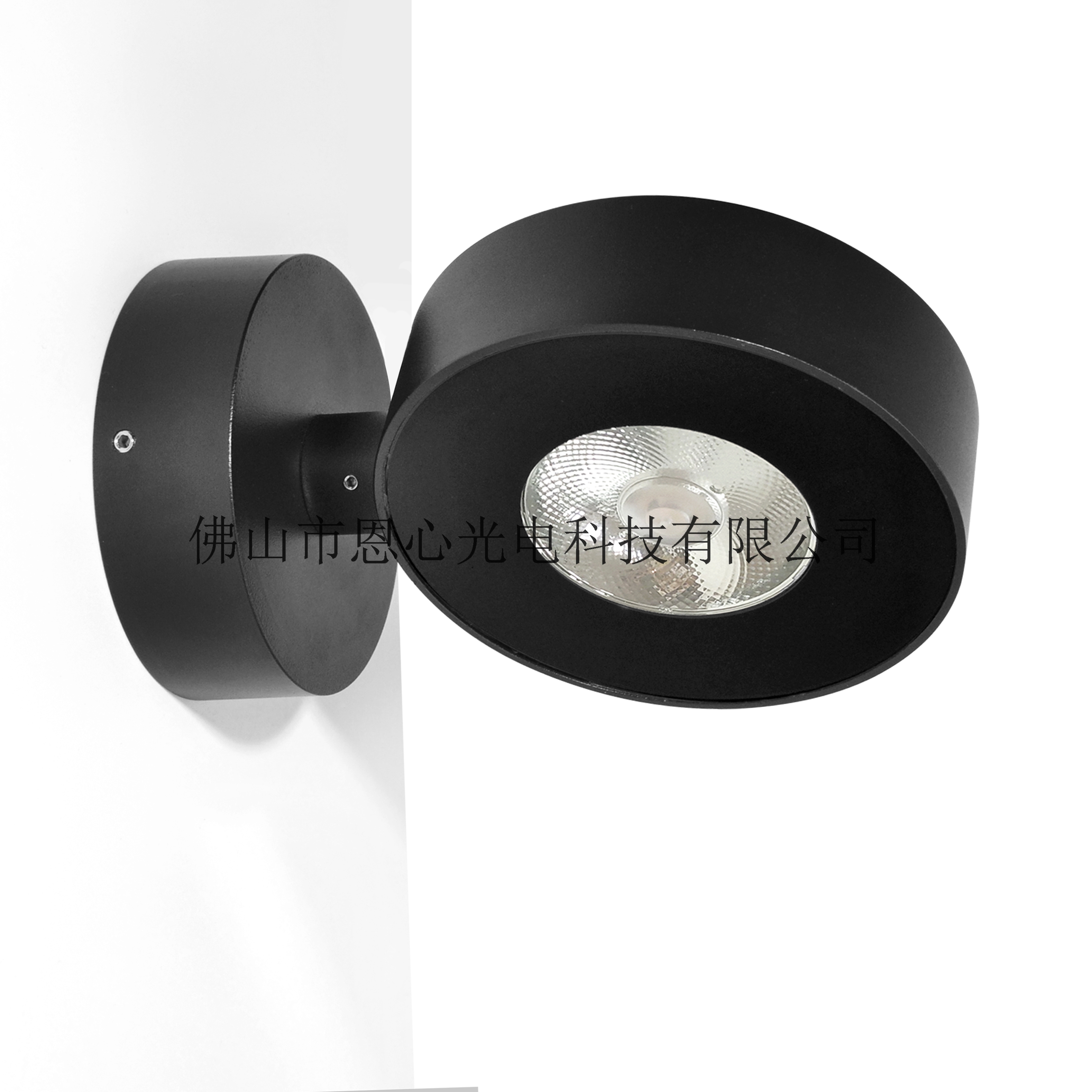 Rotatable LED Wall light