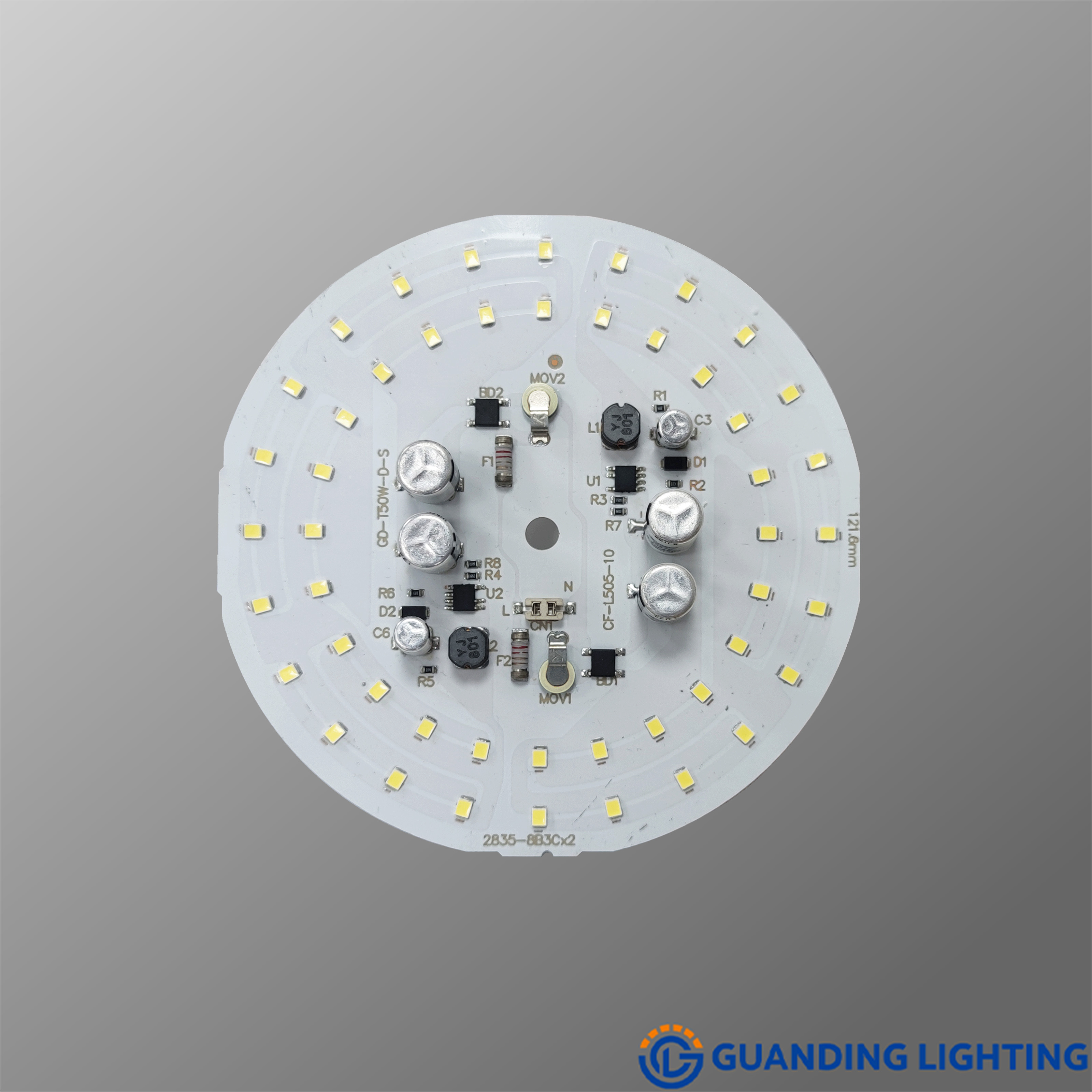 LED Light Source for T Bulbs & A Bulbs