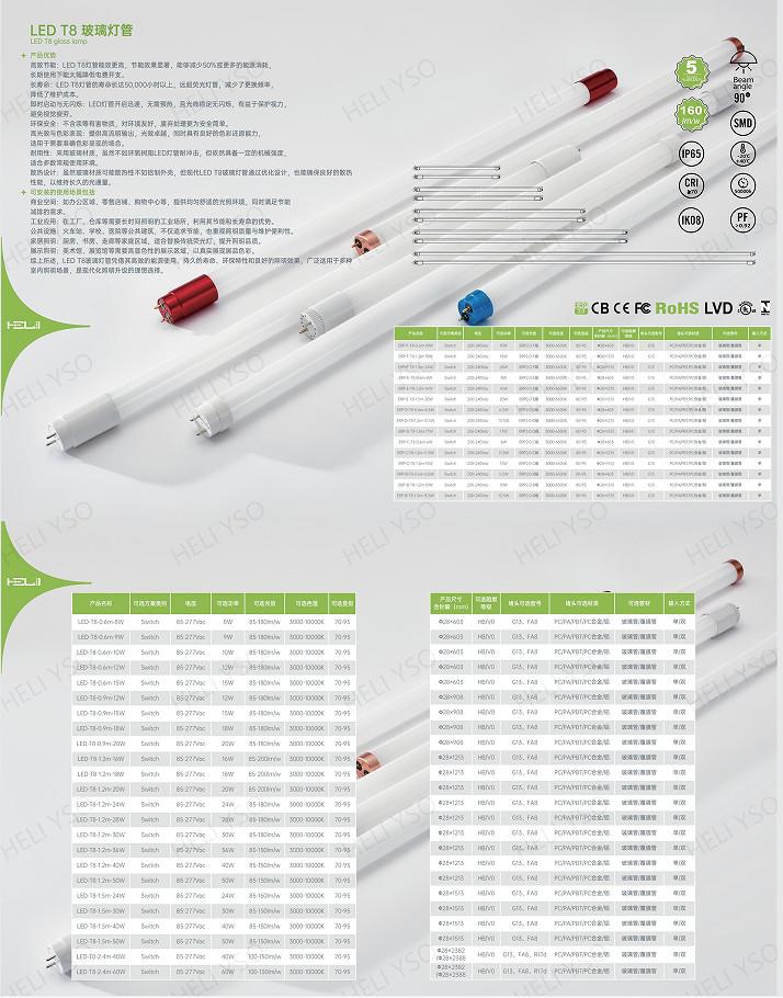 LED T8 TUBE