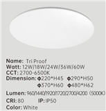 Tri Proof Ceiling lamp